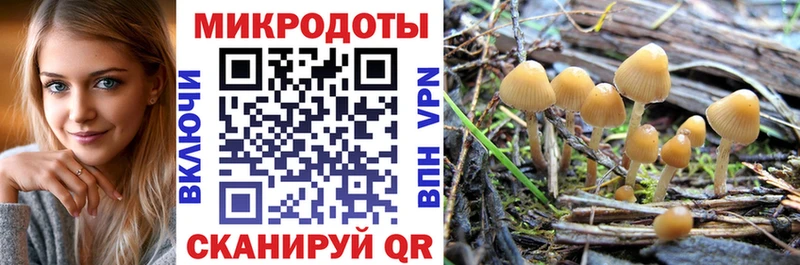 Галлюциногенные грибы MAGIC MUSHROOMS  купить закладку  hydra зеркало  Воркута 