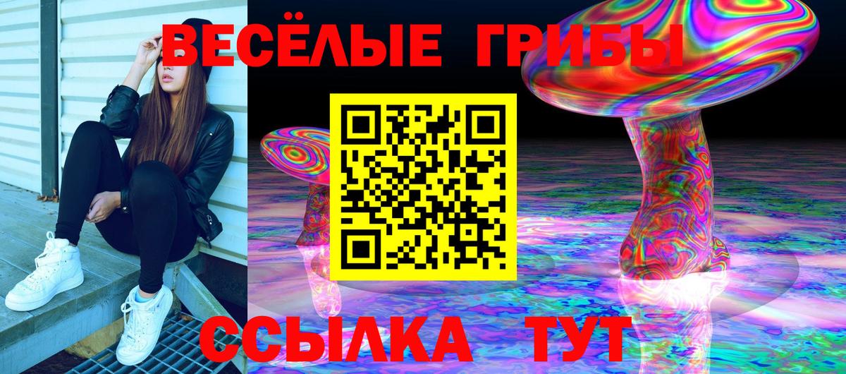 Галлюциногенные грибы Psilocybine cubensis Воркута